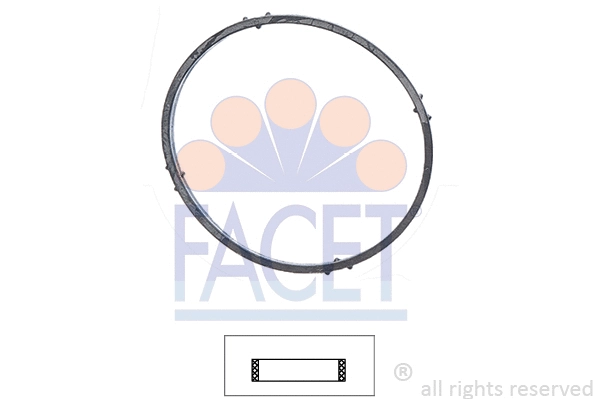 FACET 79701