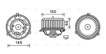 AVA OL8674