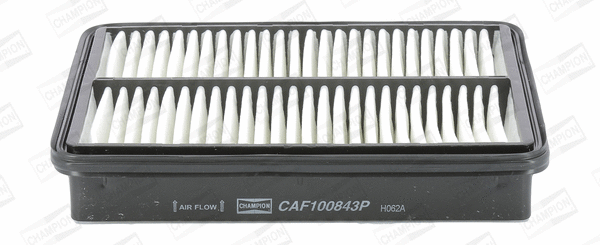 CHAMPION CAF100843P