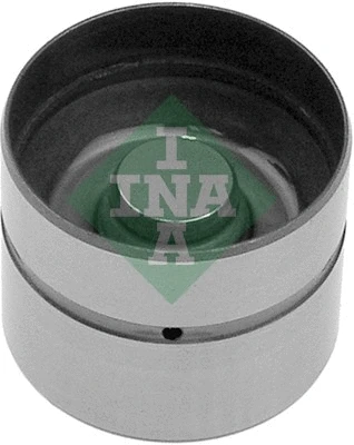 INA 420005010