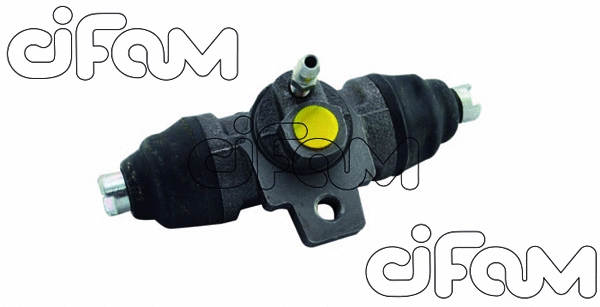 CIFAM 101609
