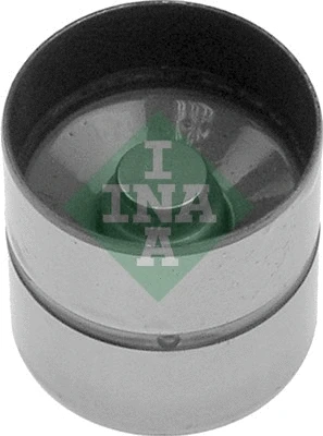 INA 420006810