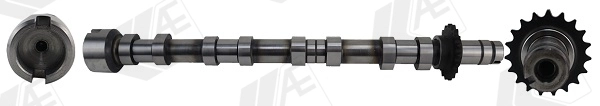 AE CAM1031
