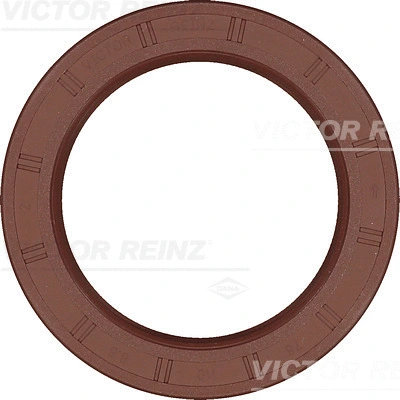 VICTOR REINZ 815408700