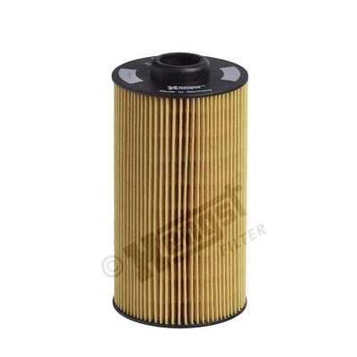 HENGST E202H01D34