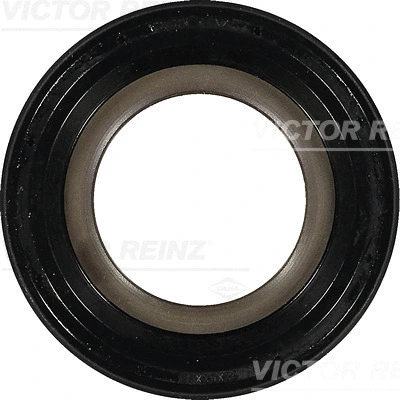VICTOR REINZ 811036900