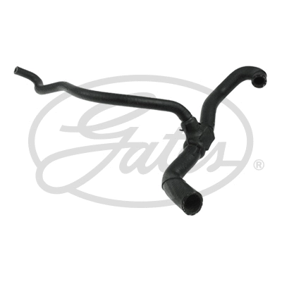 GATES 021738