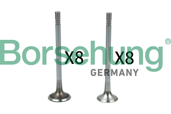 BORSEHUNG B18628