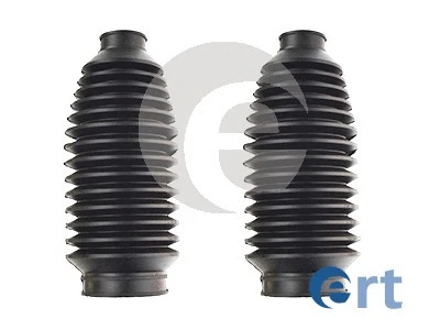 ERT 102077