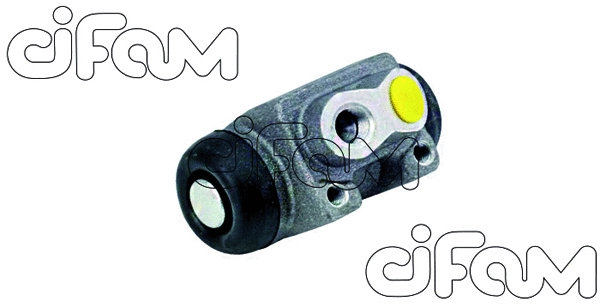 CIFAM 101996
