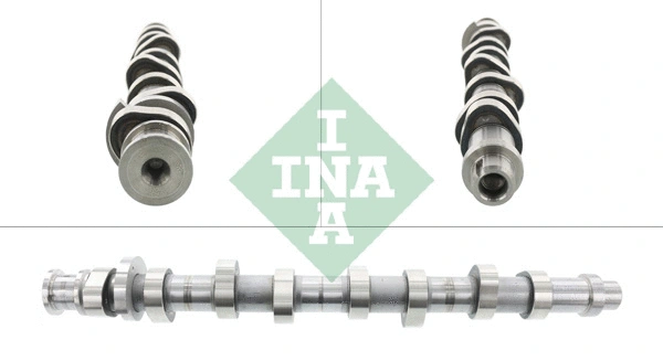 INA 428016110