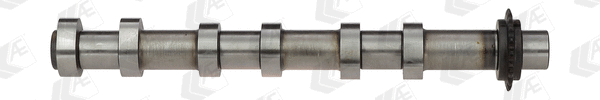 AE CAM984