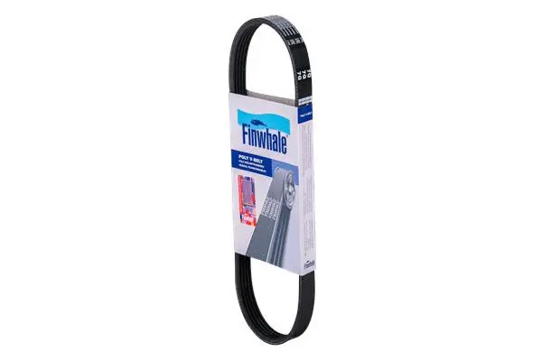 FINWHALE BP5PK692E