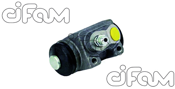 CIFAM 101987