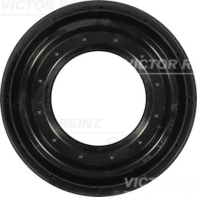 VICTOR REINZ 813137700
