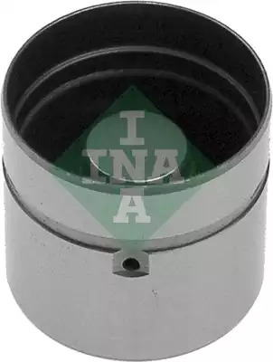 INA 420003510