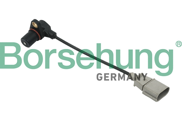 BORSEHUNG B13671