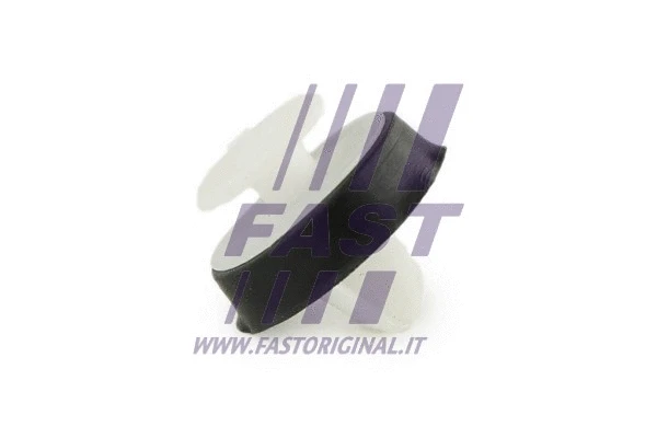 FAST FT96309