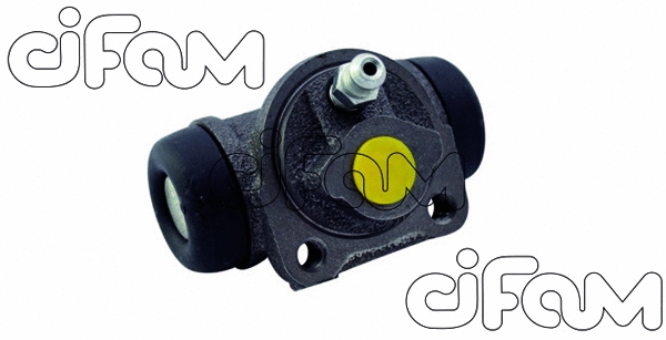 CIFAM 101674