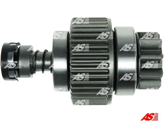 AS-PL SD2010