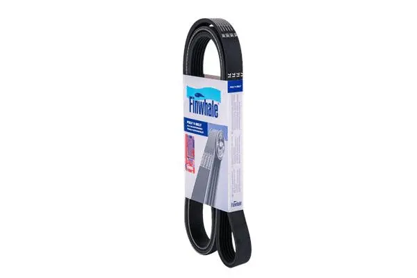FINWHALE BP6PK1818
