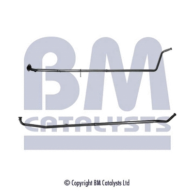 BM CATALYSTS BM50121