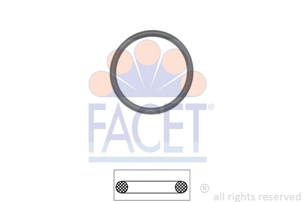 FACET 79648
