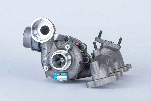 BORGWARNER 54399880022