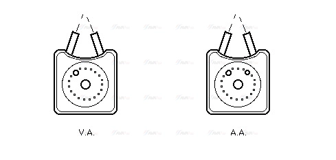 AVA VN3147