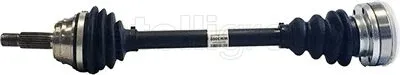 CIFAM 655002