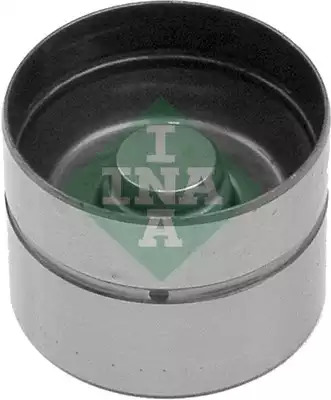 INA 420010110
