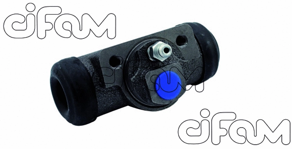 CIFAM 101865