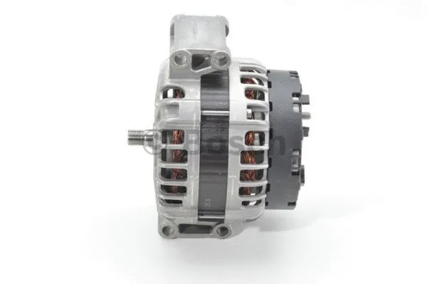 BOSCH 0125811051