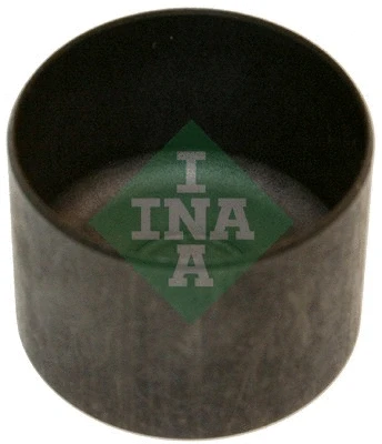 INA 421005810