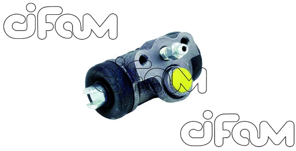 CIFAM 1011028