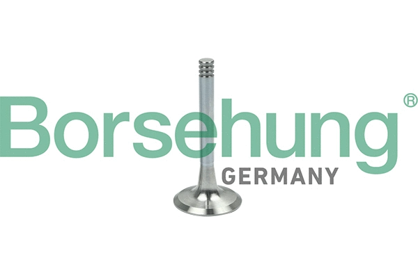 BORSEHUNG B19002