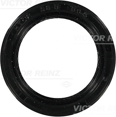 VICTOR REINZ 815325300