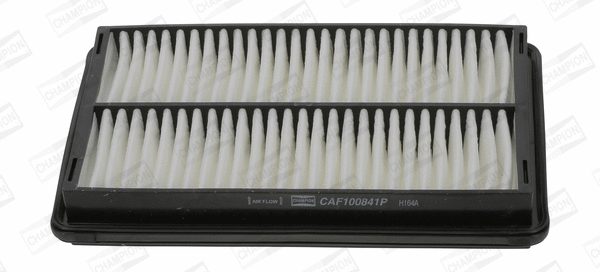 CHAMPION CAF100841P