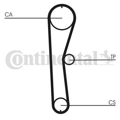 CONTITECH CT824