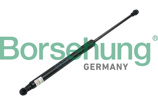 BORSEHUNG B14198