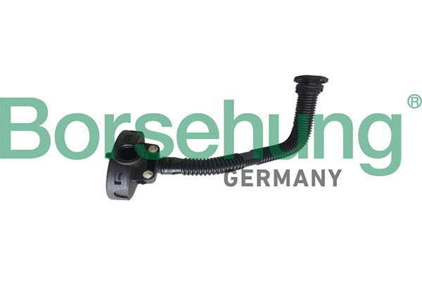 BORSEHUNG B19055