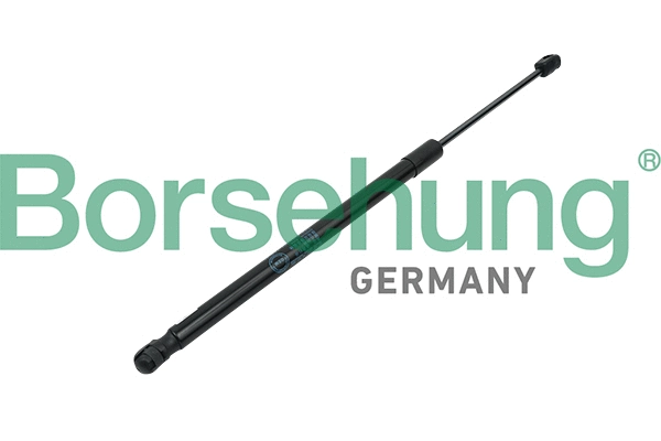 BORSEHUNG B14195