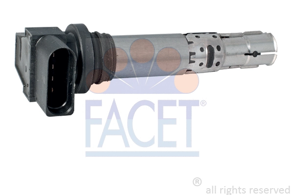 FACET 96374