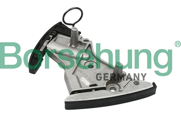BORSEHUNG B1T018