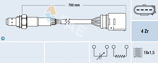FAE 77205