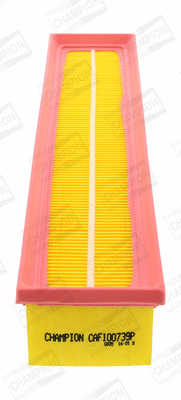 CHAMPION CAF100739P