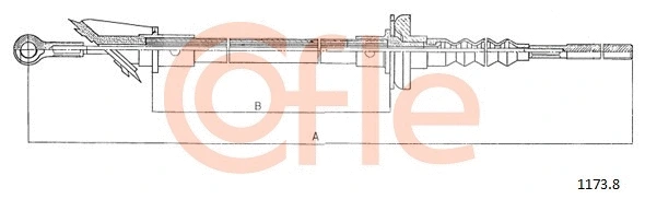 COFLE 11721