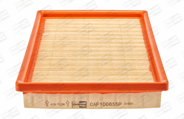 CHAMPION CAF100655P