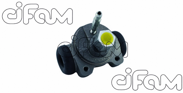 CIFAM 101748
