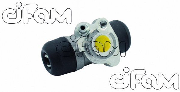 CIFAM 101845